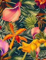 Toilettenpapier Orange Tropical