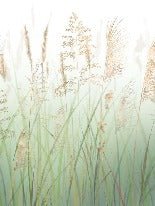Carta da parati con fiori di campo e grano verde