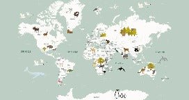 Papier peint Carte du monde en Francais enfant vert