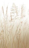 Toilettenpapier Blume der Weizenfelder beige