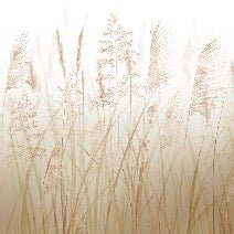 Carta da parati con fiori di campo e grano
