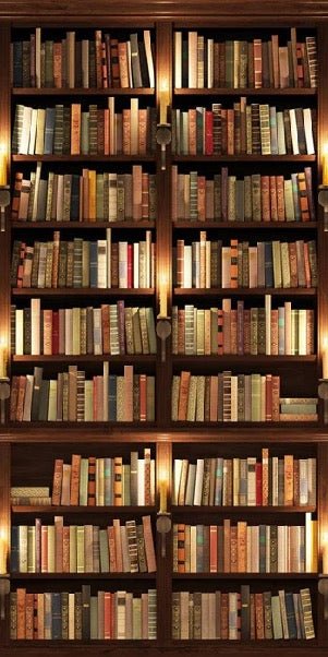Carta da parati trompe l'oeil Autentica Biblioteca
