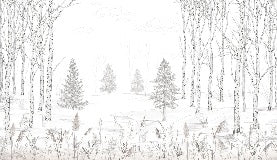 Carta da parati in bianco e nero per alberi e foreste