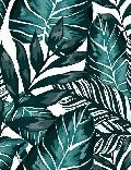 Papier peint wc intissé Feuille couleur Bleu Paon, XXL, tendance