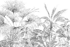Carta da parati tropicale con incisione monocromatica
