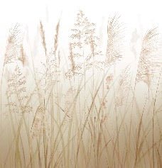 Carta da parati con fiori di campo e grano