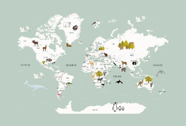 Papier peint Carte du monde en Francais enfant vert