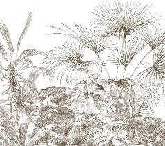 Carta da parati con incisioni monocromatiche tropicali