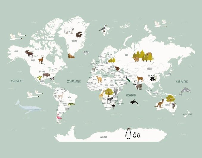 Papier peint Carte du monde en Francais enfant vert