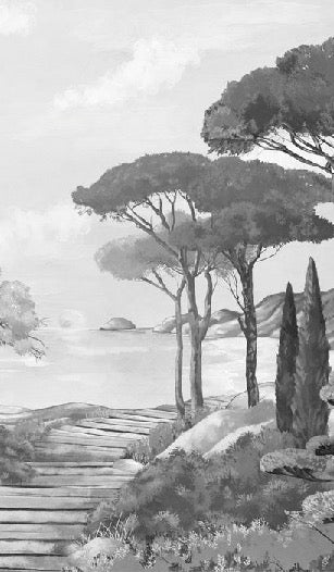 Papier peint balade dans les calanques noir et blanc