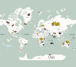 Papier peint Carte du monde en Francais enfant vert
