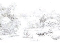 Tapete Kiefernwald Aquarell