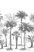 Papier peint Jungle Black & White