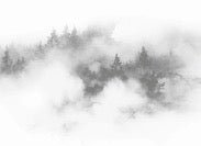 Papier peint brume des Cimes gris