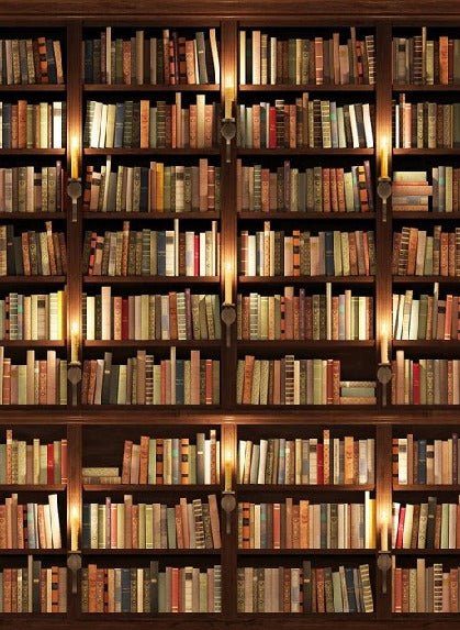 Papier peint trompe l'oeil Authentique Bibliothèque, XXL, tendance
