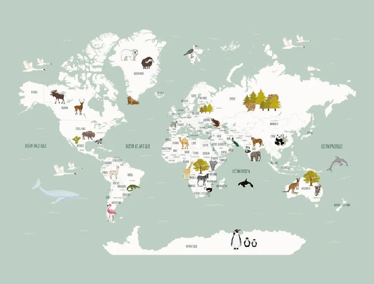 Papier peint Carte du monde en Francais enfant vert