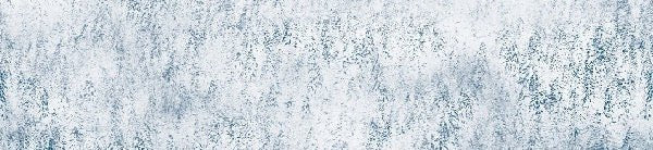 Carta da parati con design alpino Foresta nebbiosa