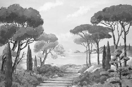 Papier peint balade dans les calanques noir et blanc