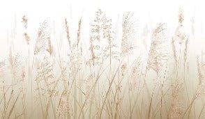 Carta da parati con fiori di campo e grano