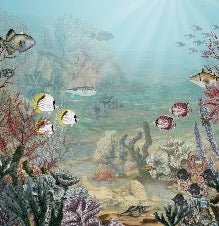 Carta da parati Vita sotto il mare