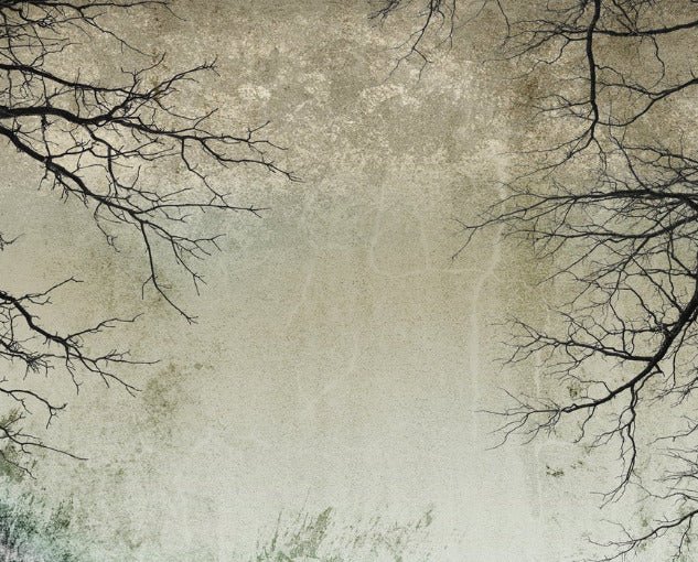 Tapete „Verzauberter Wald“