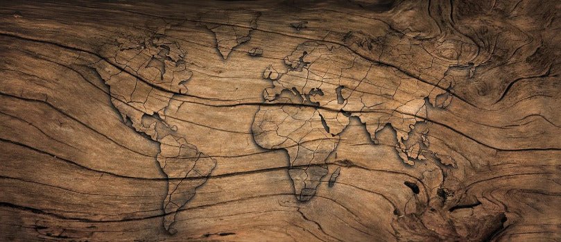 Papier peint Wood & Map
