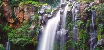 Papier peint cascade de la Réunion, XXL, tendance