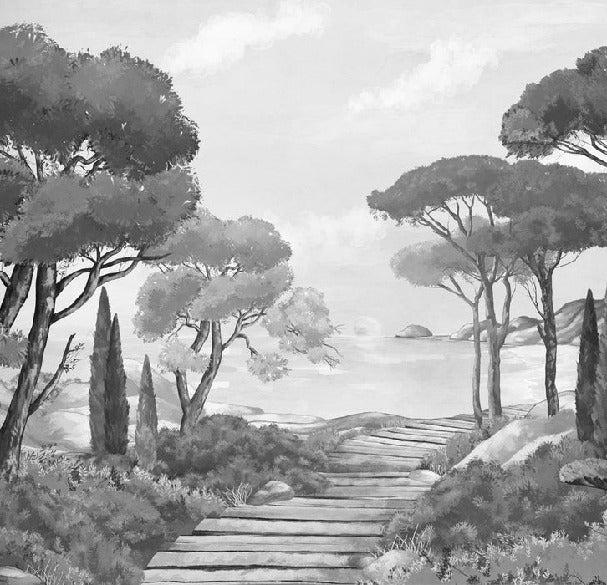 Papier peint balade dans les calanques noir et blanc