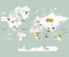 Carta da parati con mappamondo francese per bambini, verde