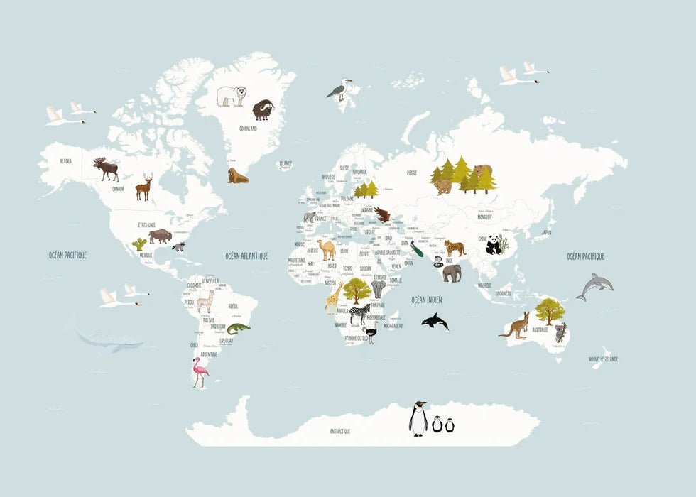 Papier peint Carte du monde en Francais enfant bleu glacier
