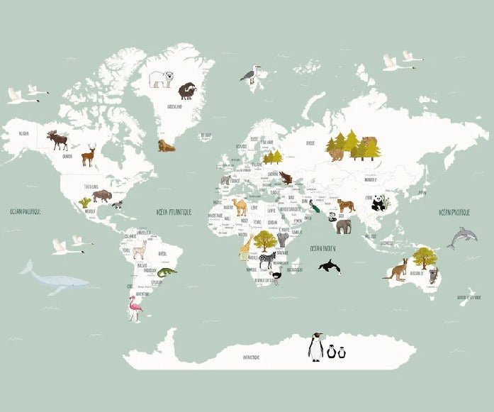 Papier peint Carte du monde en Francais enfant vert