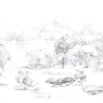 Carta da parati acquerello pineta