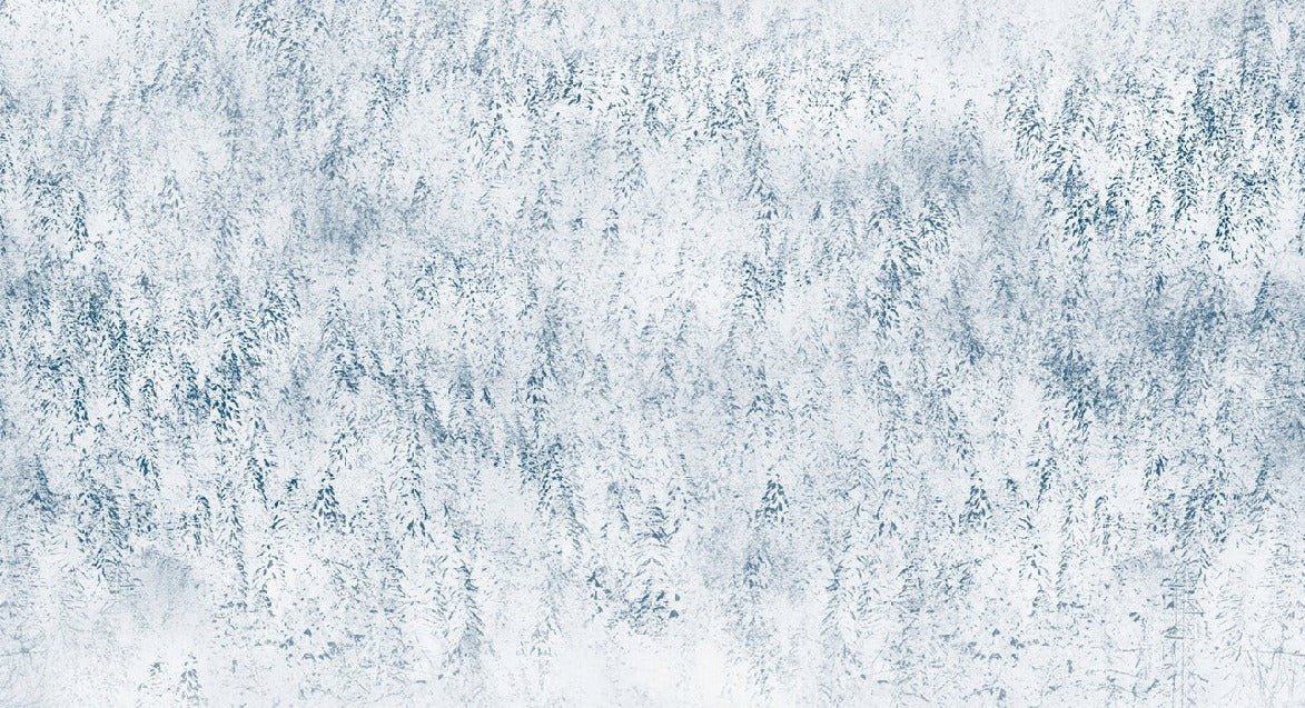 Carta da parati con design alpino Foresta nebbiosa