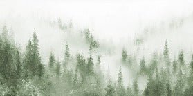 Papier peint bistrot sapin brume verte aquarelle