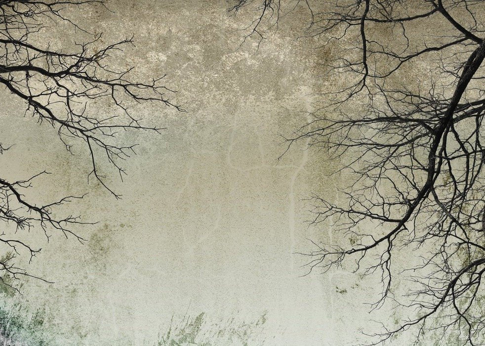 Papier peint Forêt Enchantée, XXL, tendance