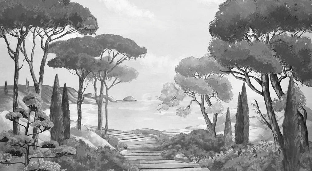 Papier peint balade dans les calanques noir et blanc