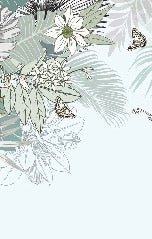 Papier peint wc tendance nature plante vert d'eau