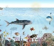 Papier peint animaux marins