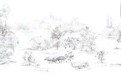 Tapete Kiefernwald Aquarell