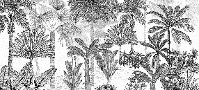 Papier peint jungle cocotier tendance gravure, XXL, tendance