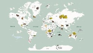 Papier peint Carte du monde en Francais enfant vert