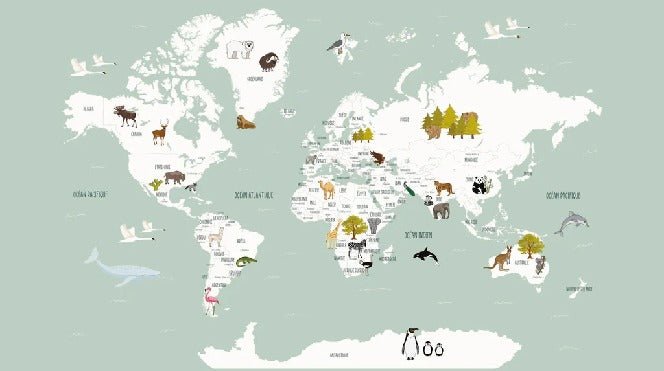 Papier peint Carte du monde en Francais enfant vert