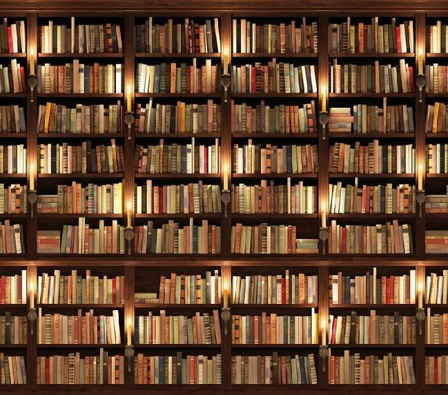 Carta da parati trompe l'oeil Authentique Bibliothèque