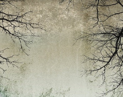 Tapete „Verzauberter Wald“