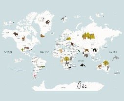 Papier peint Carte du monde en Francais enfant bleu glacier