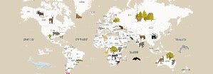Papier peint Carte du monde en Francais enfant beige