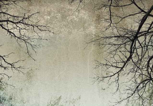 Carta da parati Foresta incantata