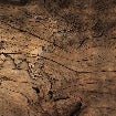 Papier peint Wood & Map