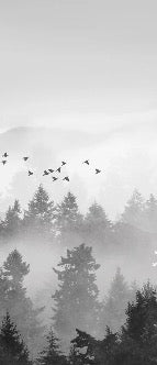 Papier peint brume mystique mountain