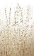 Toilettenpapier Blume der Weizenfelder beige